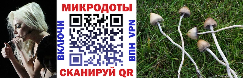 Галлюциногенные грибы Cubensis  где найти   Ворсма 